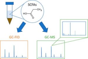 GC-FID analysis