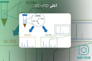 آنالیز GC-FID
